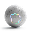 Rechargeable interactive bouncing pet ball with LED lights
